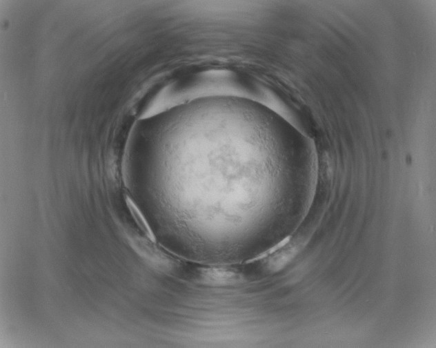 X0000061740380200512091617