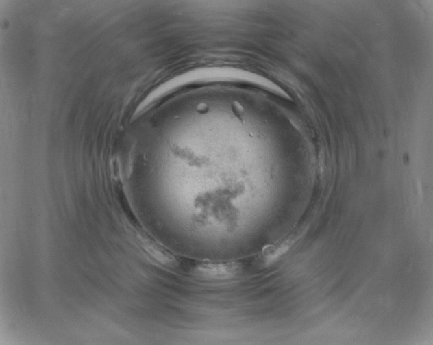 X0000061740381200512091617