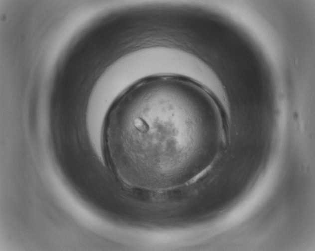 X0000061740382200512091617