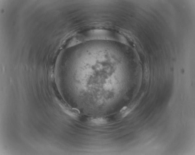 X0000061740383200512091617