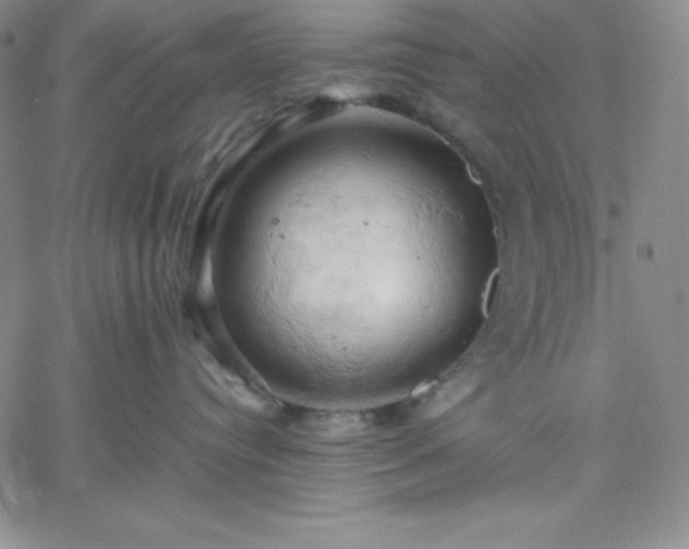 X0000061740384200512091617