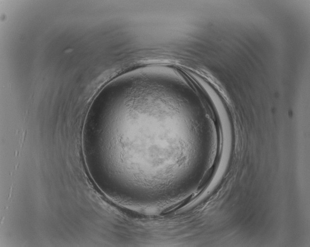 X0000061740385200512091616