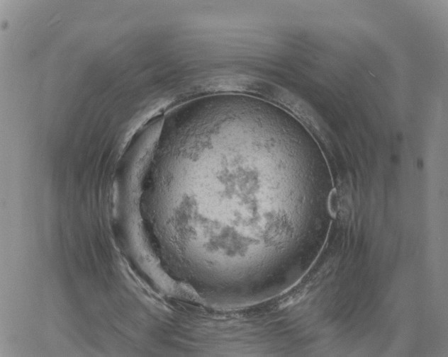 X0000061740386200512091616