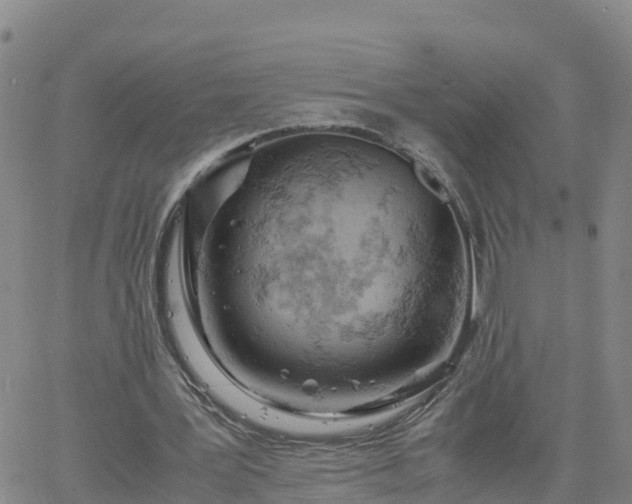 X0000061740387200512091616