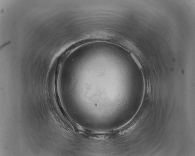 X0000061740388200512091616