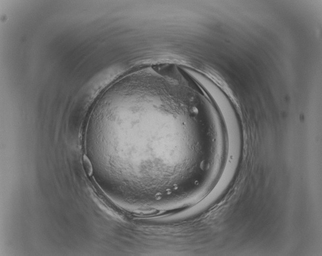 X0000061740389200512091616