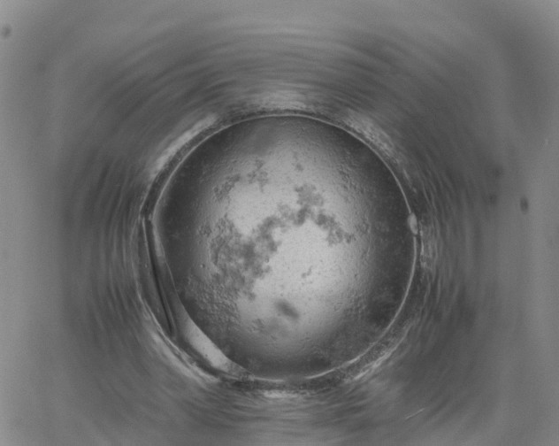 X0000061740390200512091616