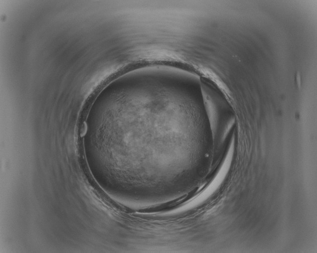 X0000061740391200512091616