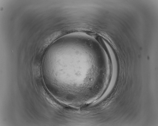 X0000061740393200512091616