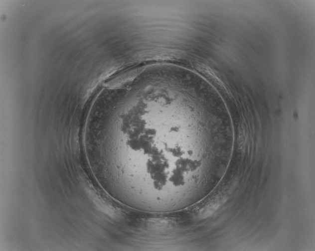 X0000061740394200512091616