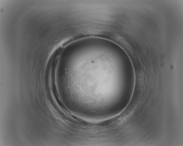 X0000061740395200512091616