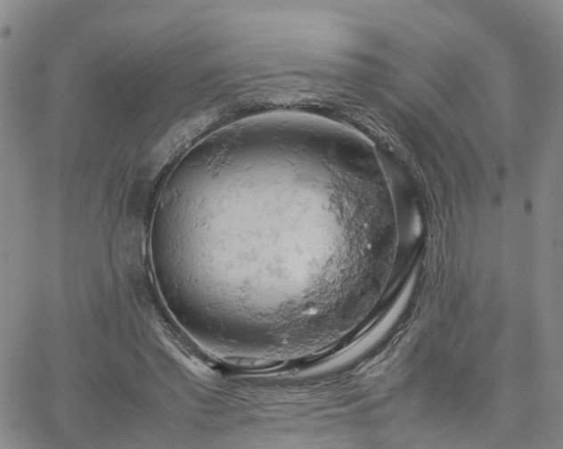 X0000061740397200512091615