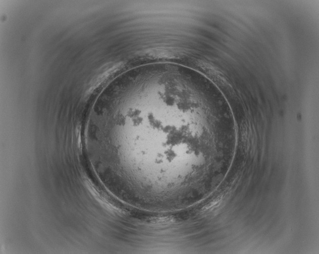 X0000061740398200512091615