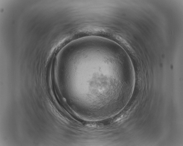 X0000061740399200512091615