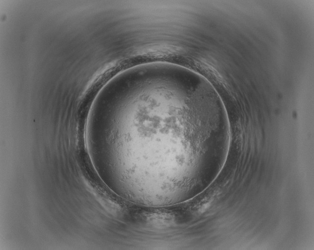 X0000061740400200512091615