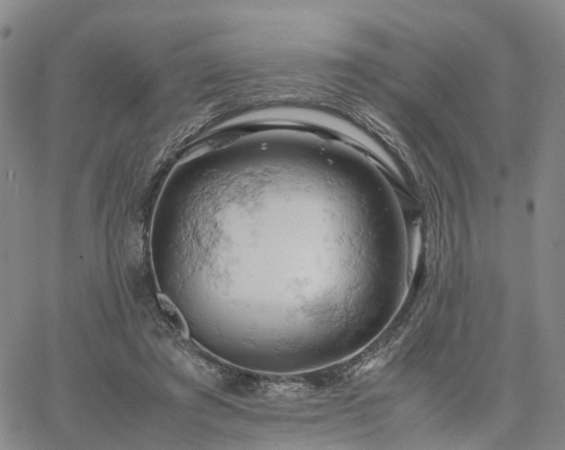 X0000061740401200512091615