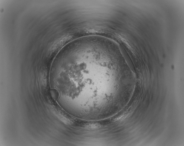 X0000061740402200512091615