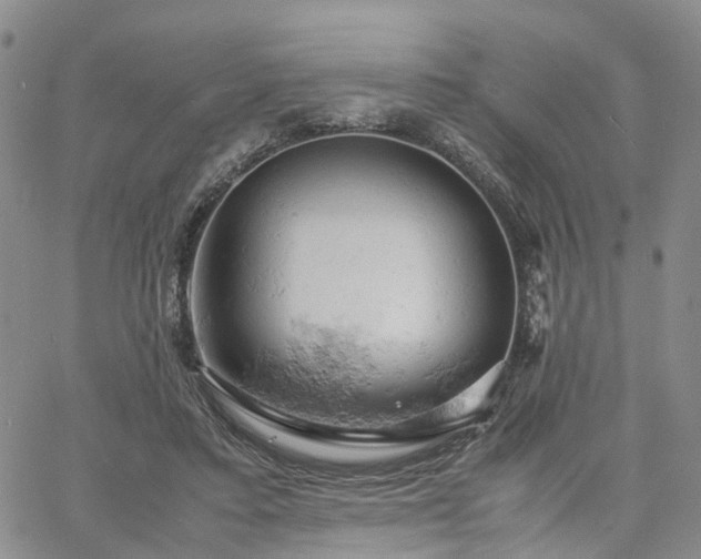 X0000061740403200512091615