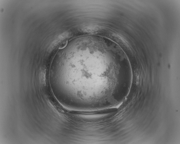 X0000061740404200512091615