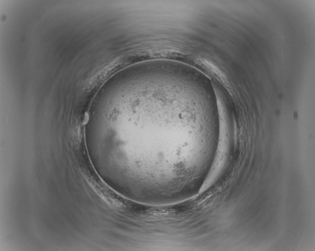 X0000061740405200512091615