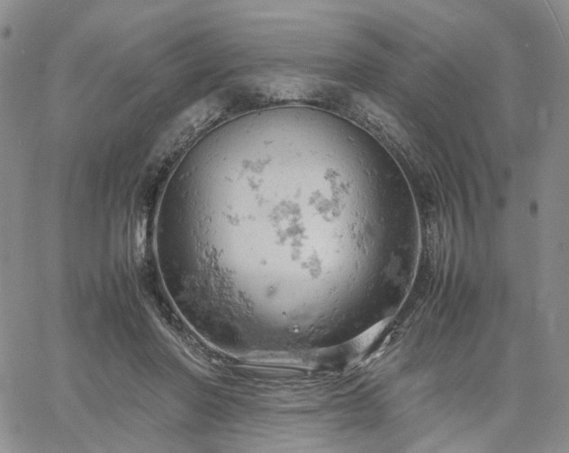 X0000061740406200512091615