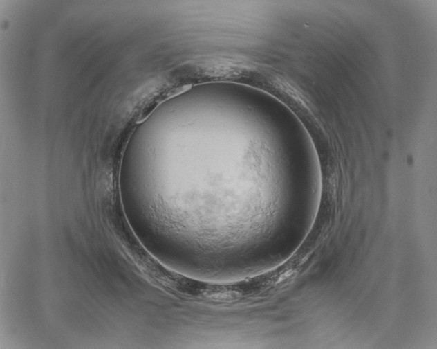 X0000061740407200512091615