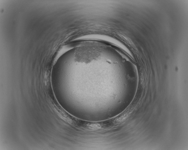 X0000061740409200512091615