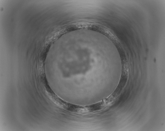 X0000061740411200512091615