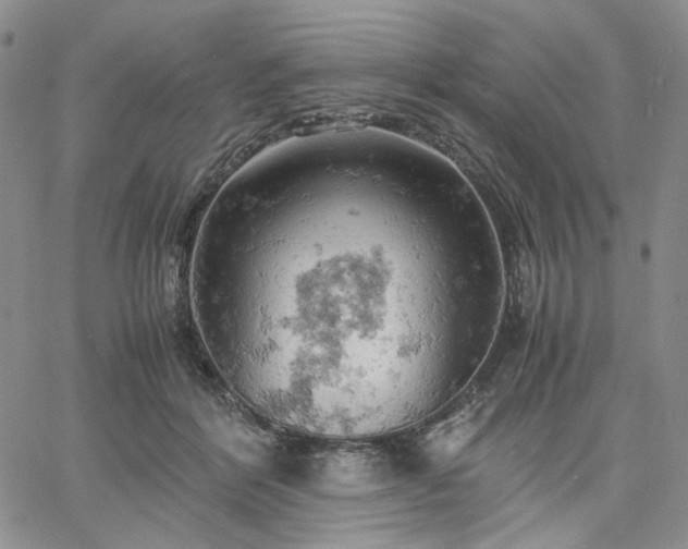 X0000061740412200512091615