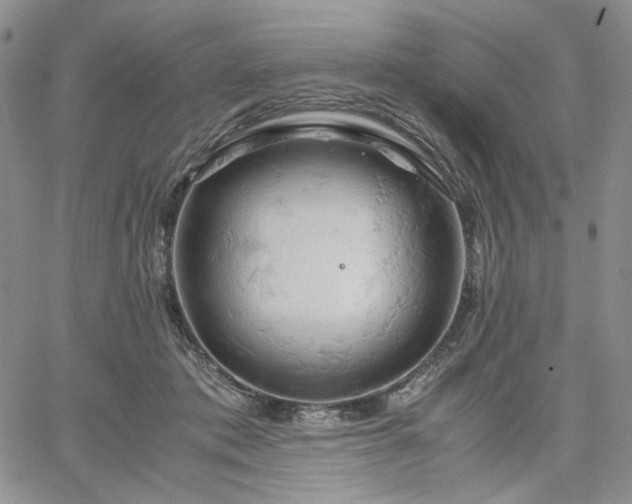 X0000061740413200512091615