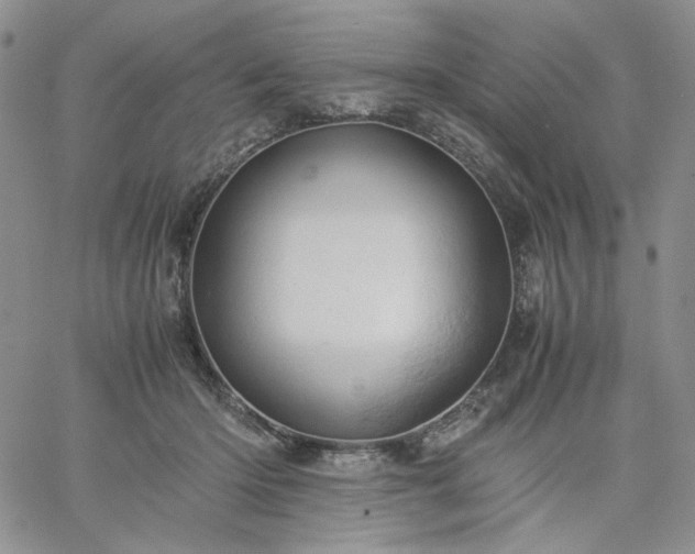 X0000061740414200512091615