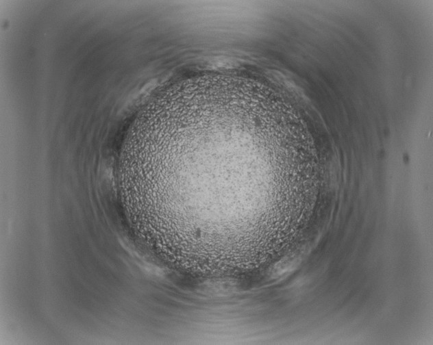 X0000061740415200512091615