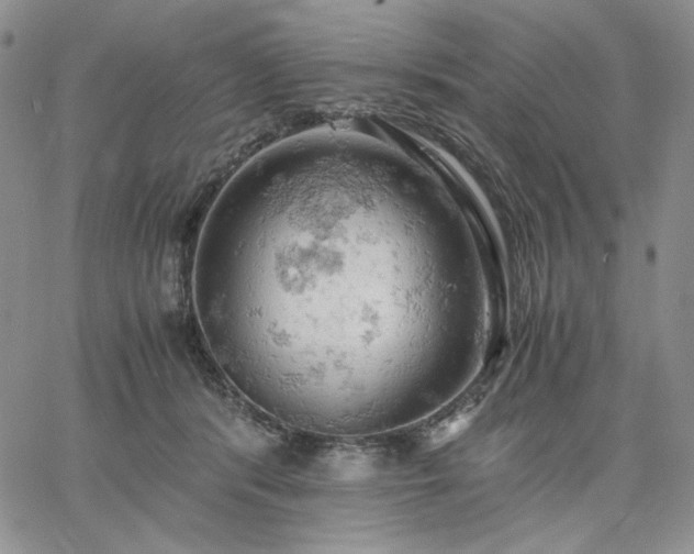 X0000061740416200512091615