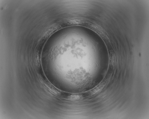 X0000061740418200512091615