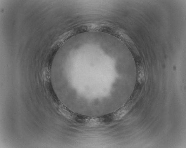 X0000061740419200512091615