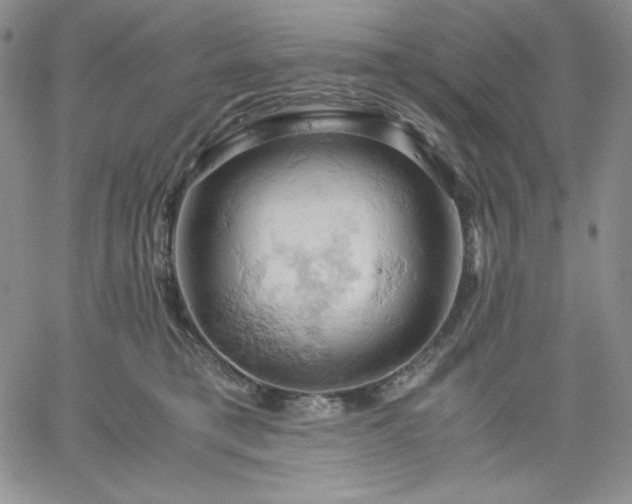 X0000061740421200512091615