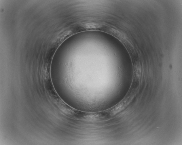 X0000061740422200512091615