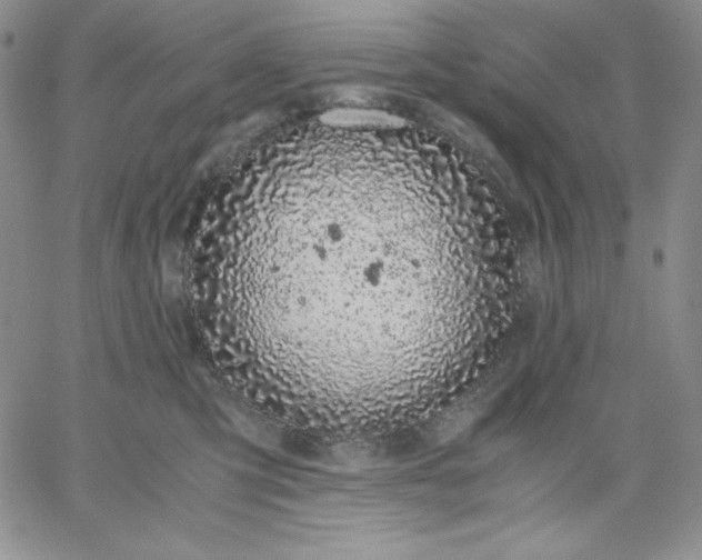 X0000061740423200512091615