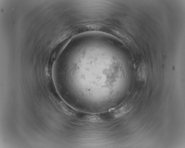 X0000061740424200512091615