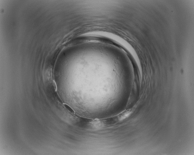 X0000061740425200512091615