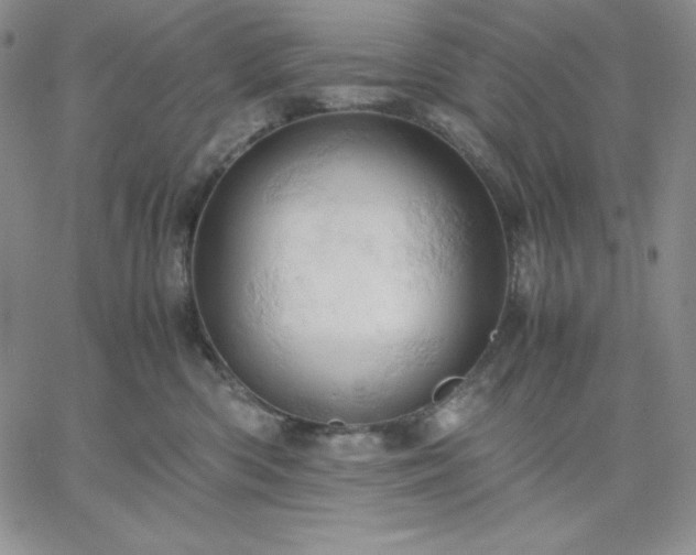 X0000061740426200512091615