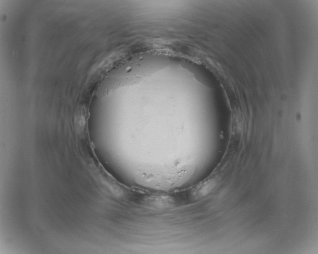 X0000061740427200512091615