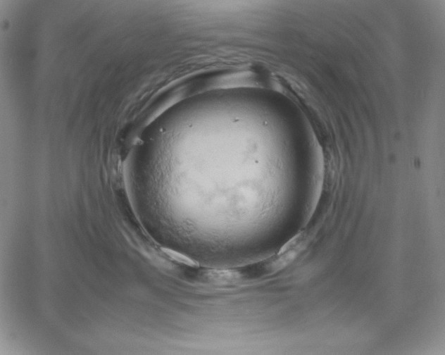 X0000061740429200512091615