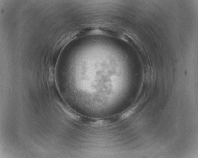 X0000061740430200512091615