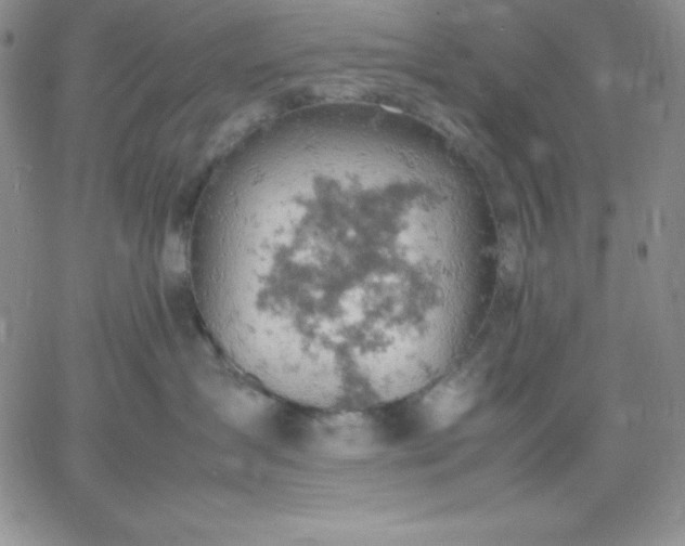 X0000061740431200512091615