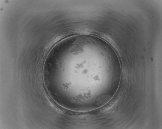 X0000061740433200512091614