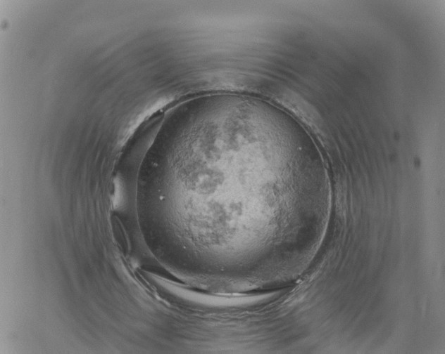 X0000061740434200512091614