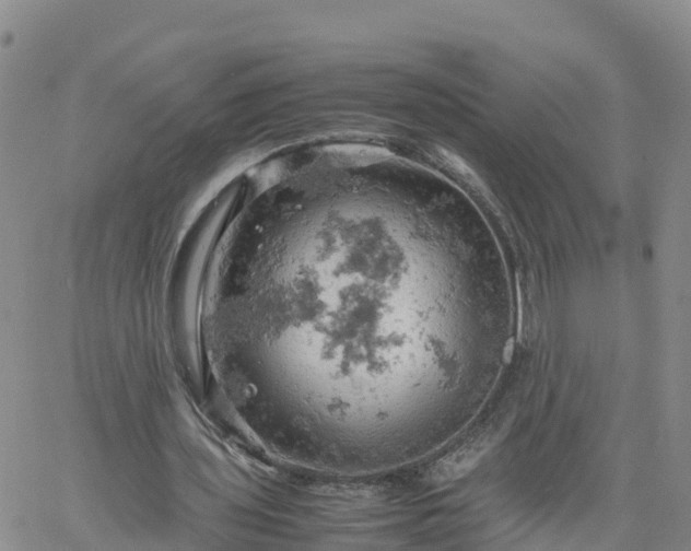 X0000061740435200512091614