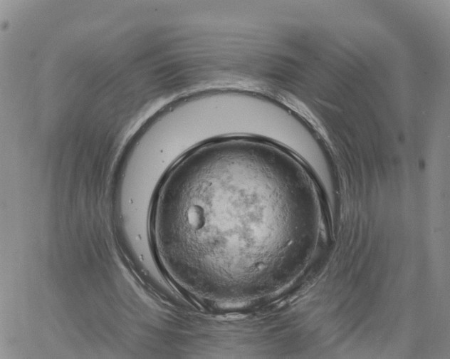 X0000061740436200512091614