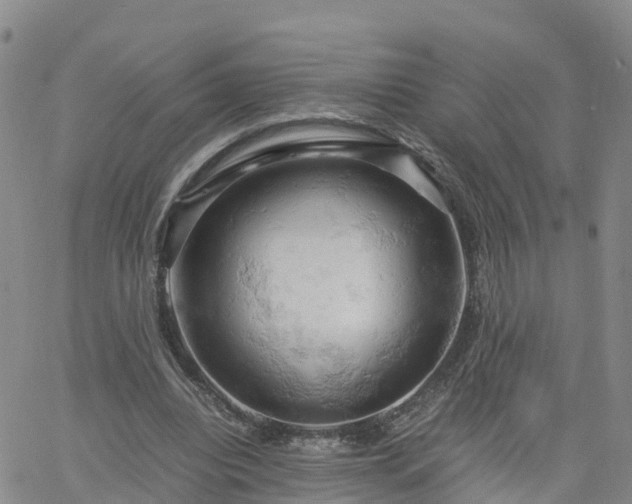 X0000061740440200512091614